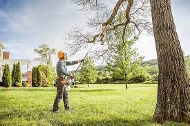 Trusted Forest Heights, TX Tree Removal Experts